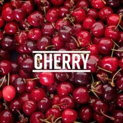 Tropical Sensations - Cherry Granita Mix, 6 Bottles 64 Oz Each 9 Tropical Sensations - Cherry Granita Mix, 6 Bottles 64 Oz Each -Koffee Express Sales 61tffxbp ul. sx679 1