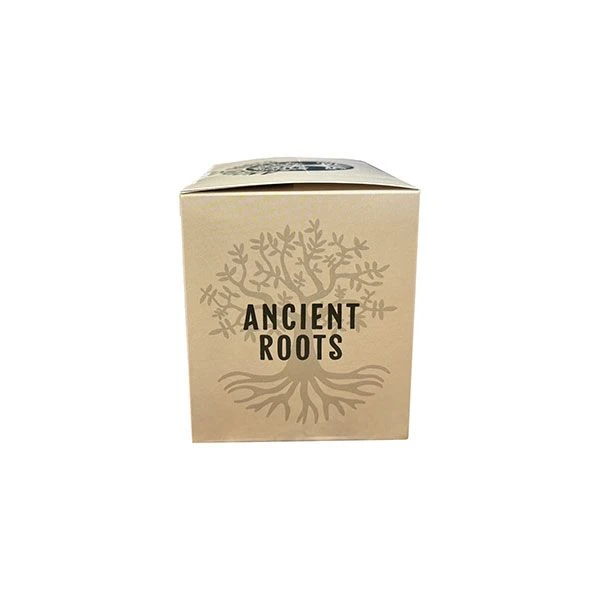 Ancient Roots Single Serve Mushroom Coffee, Made With Chaga And Lion's Mane, 100% Arabica, Medium Roast, (Hazelnut) (72 Count) 3 Ancient Roots Single Serve Mushroom Coffee, Made With Chaga And Lion's Mane, 100% Arabica, Medium Roast, (Hazelnut) (72 Count) - Image 3