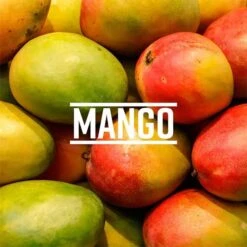 Tropical Sensations - Mango Granita Mix, 6 Bottles 64 Oz Each -Koffee Express Sales tropical sensations mango granita slushie mix img2 1